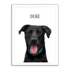 Framed Custom Pet Portrait - 1x Pet