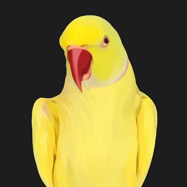 Hand Drawn Custom Pet Portrait of Yellow Bird