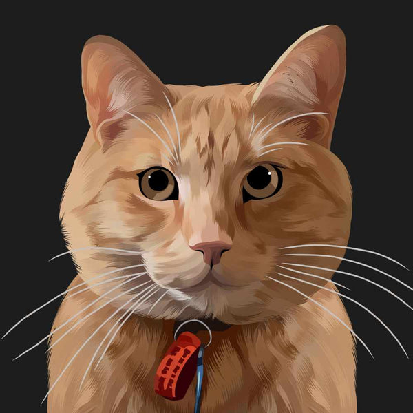 Custom Pet Artwork of Cat Hand Drawn