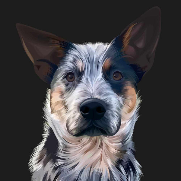 Custom Pet Portrait Hand Drawn on Black Background