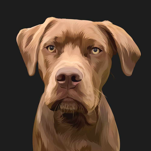 Hand Drawn Custom Dog Artwork of Brown Dog with Black Background