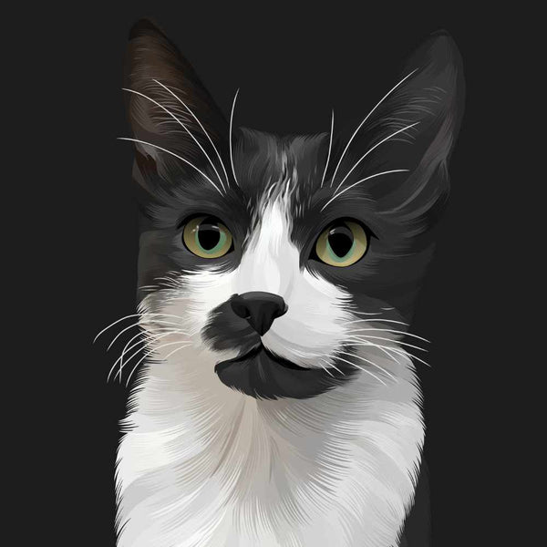Hand Drawn Pet Artwork of Black and White Cat