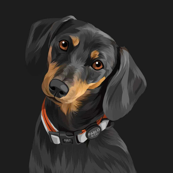 Hand Drawn Pet Portrait of Black Dog in Collar