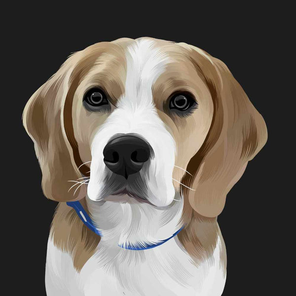 Hand Drawn Pet Artwork of Tan and white Dog with black background
