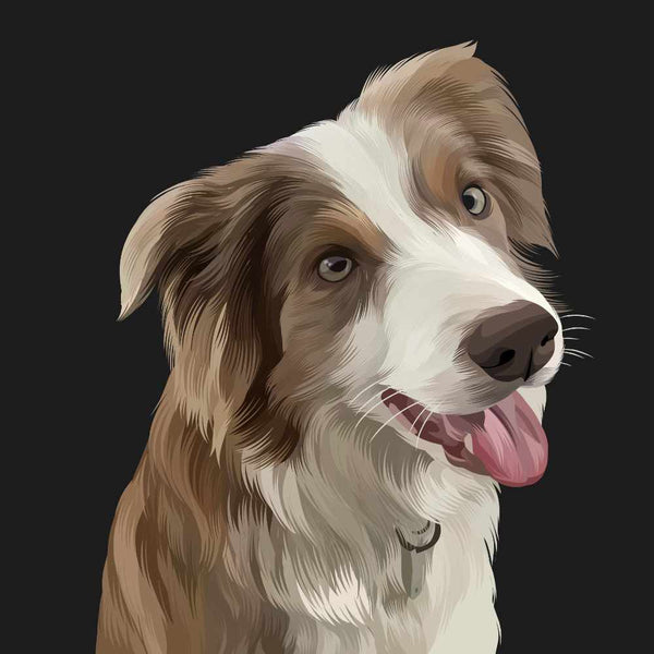 Custom Pet Portrait of Tan and White Dog with Black Background