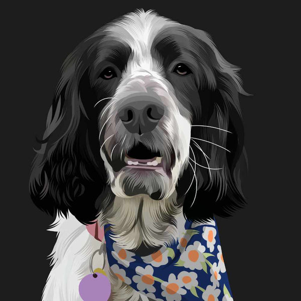 Custom Pet Portrait of Black and White dog in Bandana with Black Background