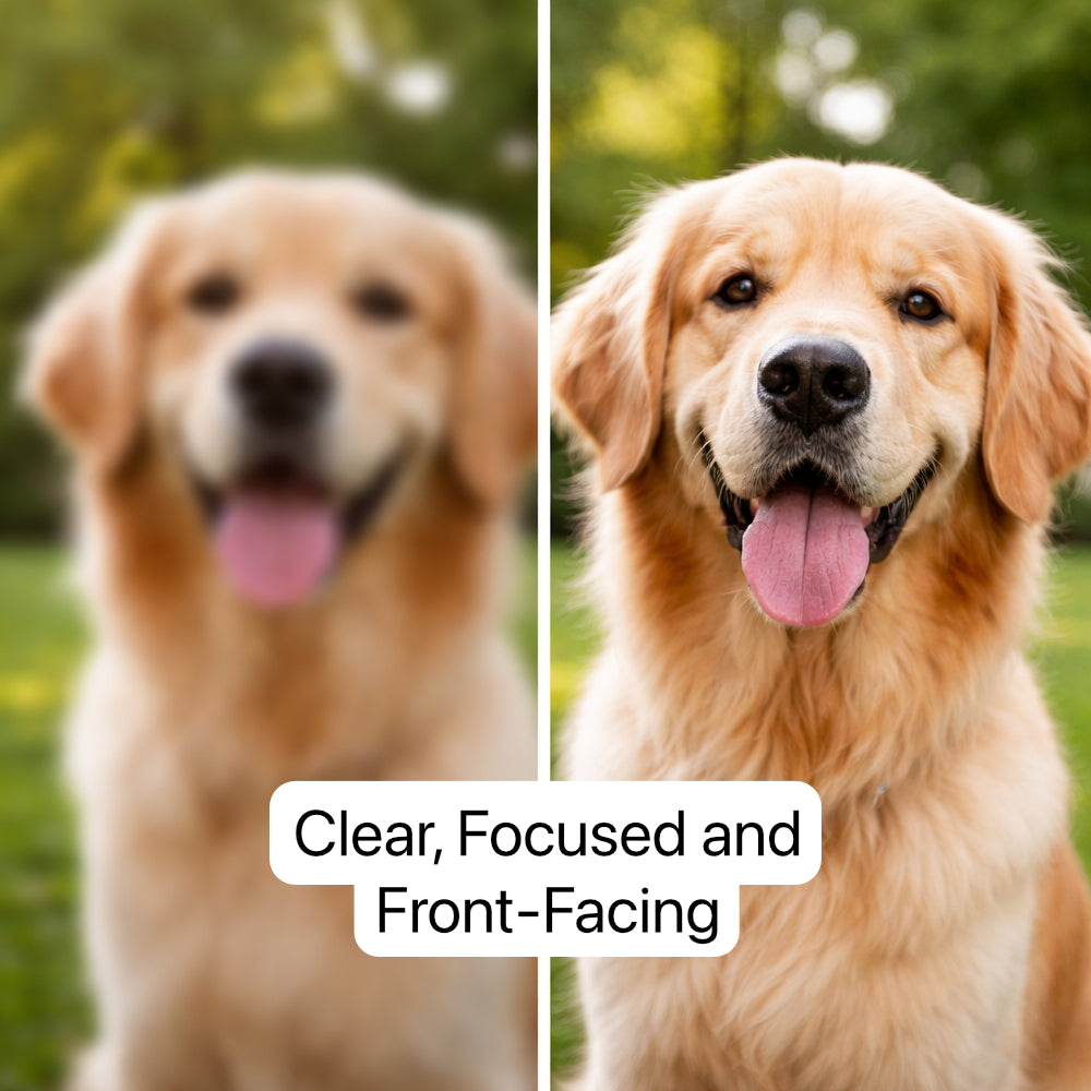 Image Guideline for Hand Drawn Artwork