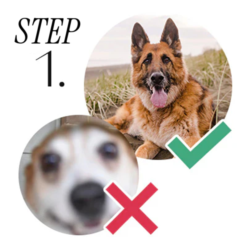 Image of correct versus incorrect photo for Pet Portrait