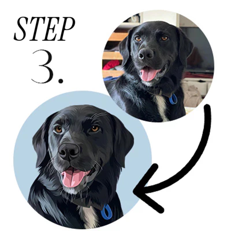 Step 3 of Custom Pet Artwork being Completed