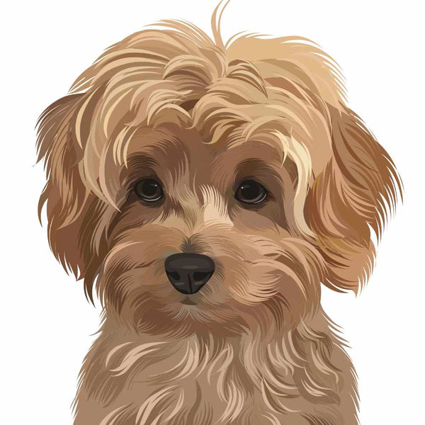 Custom Dog Portrait of curly dog with brown fur
