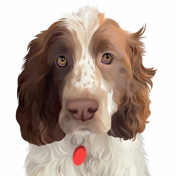 Custom Pet Portrait of White and Brown Dog with white background
