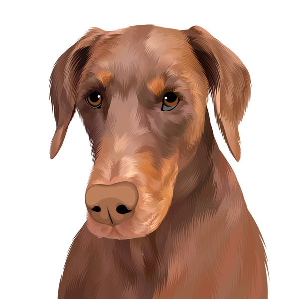 Hand Drawn Custom Pet Portrait of Brown Dog