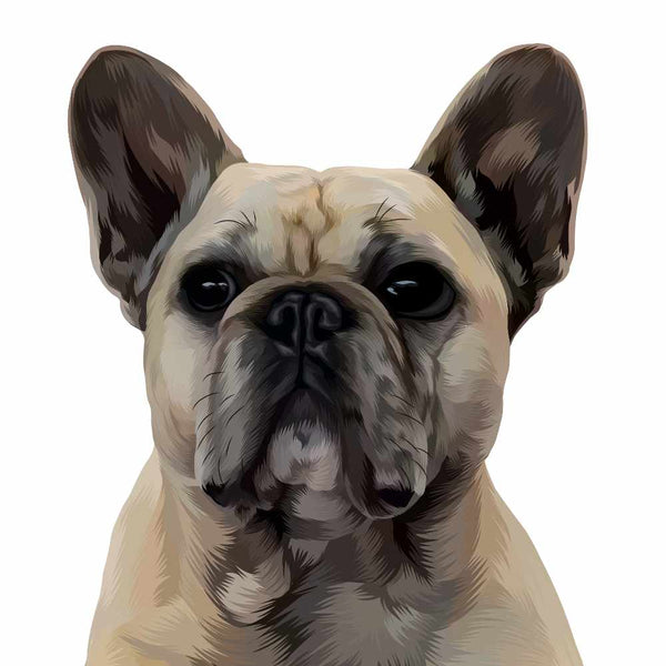 Custom Pet Portrait drawn by Hand  of tan dog