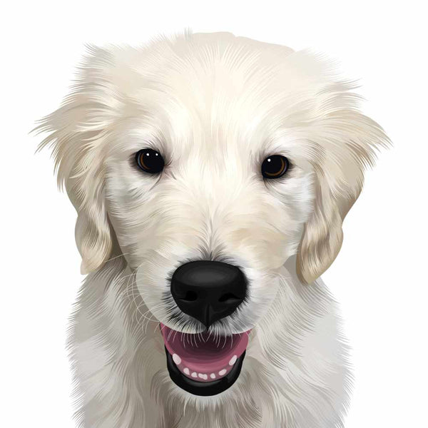 Hand Drawn Custom Pet Portrait of White Puppy