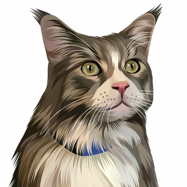 Custom Pet Portrait of Brown Cat with Blue Collar
