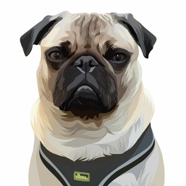 Hand Drawn Dog Portrait of White dog with Harness