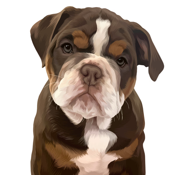 Custom Pet Portrait of brown and white puppy
