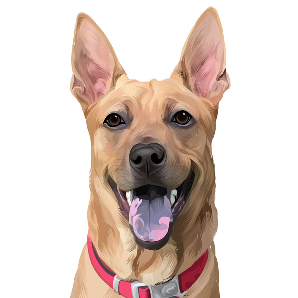 Custom Pet portrait of Light Brown Dog with Collar