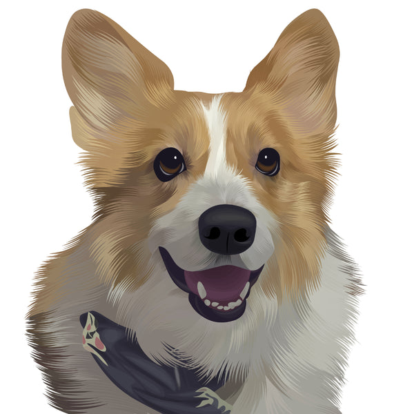 Hand Drawn Pet Portrait of Fluffy Dog with Bandana