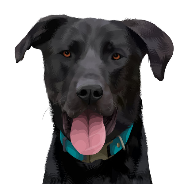 Custom Pet Artwork of Black Dog with Collar