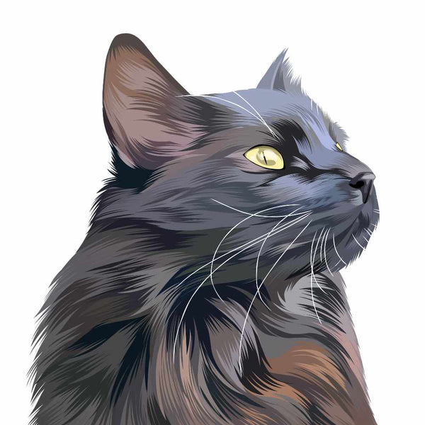 Hand Drawn Cat Portrait with a side profile